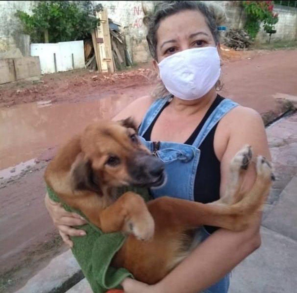 Leila Martins era tutora de dezenove cachorros e sete gatos em Maceió, Alagoas — Foto: Arquivo pessoal