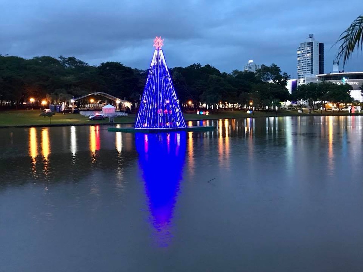 Árvore de Natal de 15 metros feita com garrafas pet é inaugurada no Parque  Vaca Brava, em Goiânia | Goiás | G1
