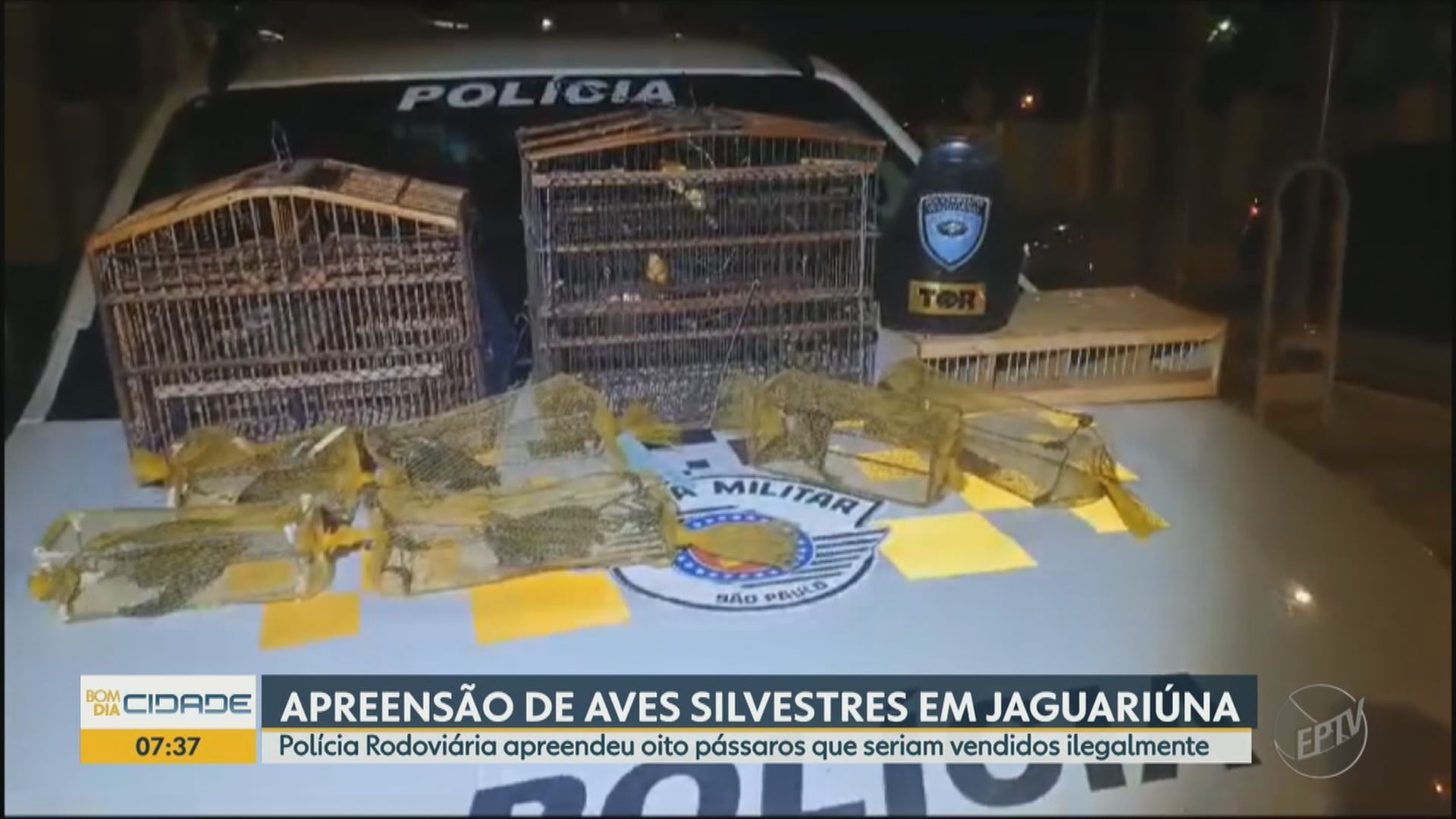 VÍDEOS: Bom Dia Cidade Campinas de segunda-feira, 2 de outubro