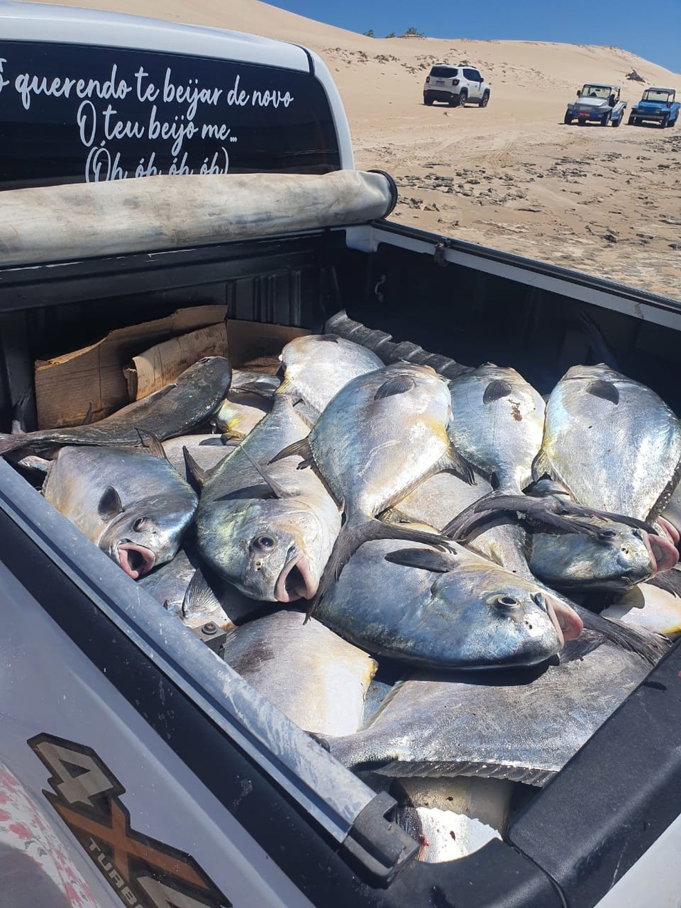 Pesca de mais de sete toneladas de peixes foi registrada em Galinhos — Foto: Arquivo pessoal