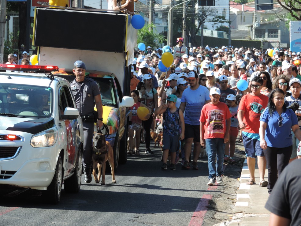 10º Mania de Cão foi realizado neste domingo (27) (Foto: Stephanie Fonseca/G1)
