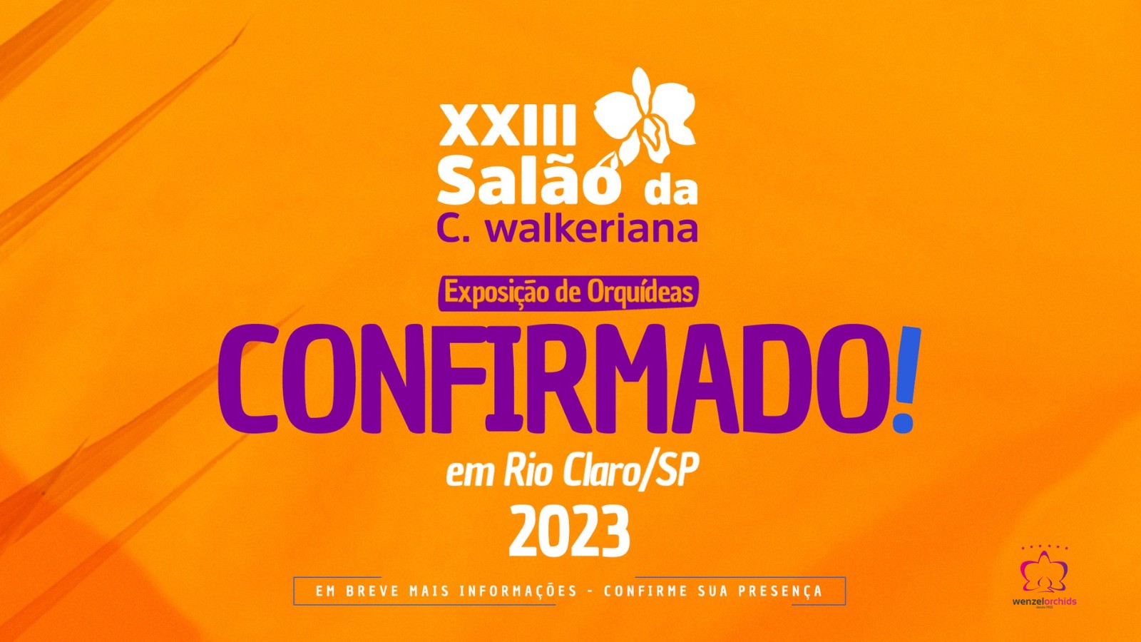 Celebre as orquídeas no XXIII Salão C. walkeriana neste final de semana em Rio Claro