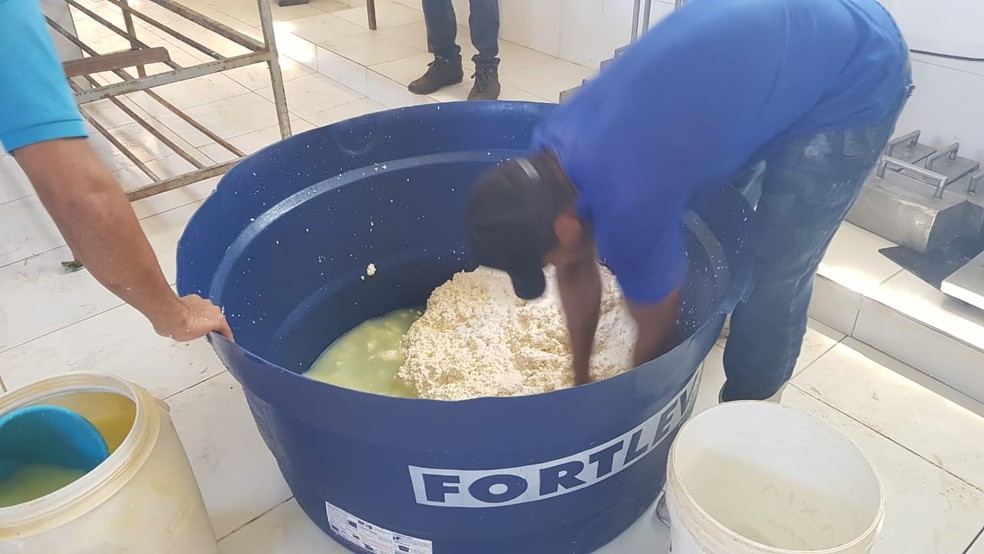 Procon flagrou funcionários fazendo queijo sem EPI dentro de caixas d'água e baldes em São José do Divino-PI — Foto: Divulgação/Procon