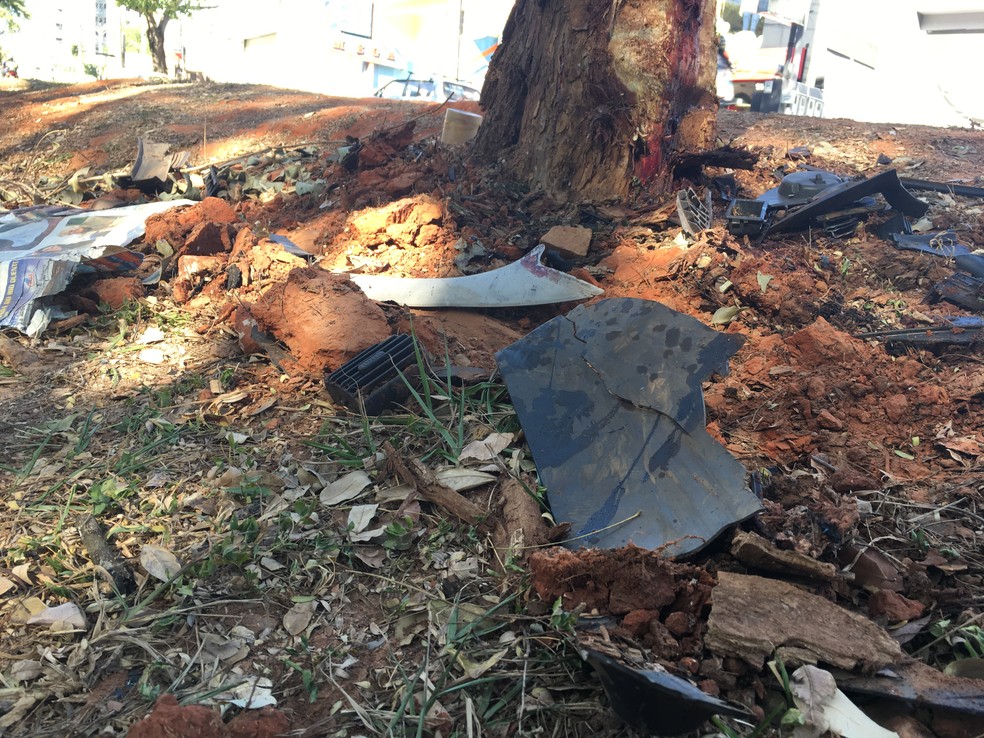 Condutor perdeu o controle da direção e bateu o carro em uma árvore (Foto: Stephanie Fonseca/G1)