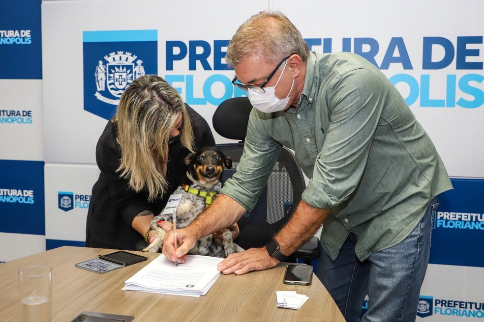 'Many' é a primeira cachorra a participar da assinatura de um projeto de lei em Florianópolis — Foto: Cristiano Andujar/PMF/Divulgação