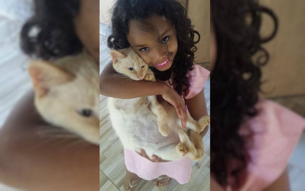 Caso Luana Marcelo: quem era a menina que saiu para ir à padaria e foi  assassinada, em Goiânia | Goiás | G1