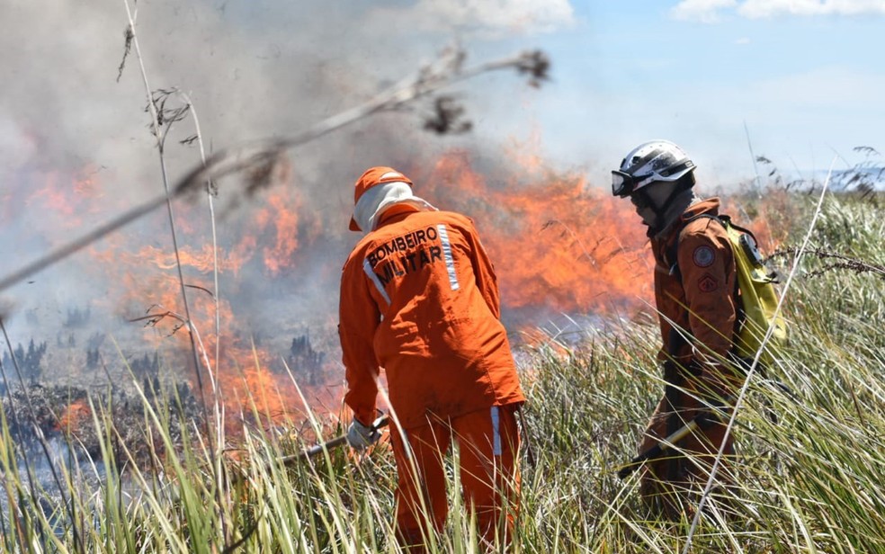 Bombeiros trabalham para combater o foto em Arraial d' Ajuda — Foto: Divulgação / SSP-Ba