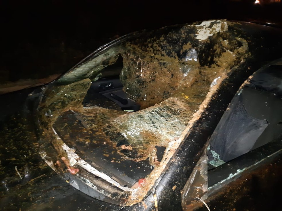 Para-brisa do veículo ficou destruído com o impacto na rodovia de Marília — Foto: Arquivo Pessoal