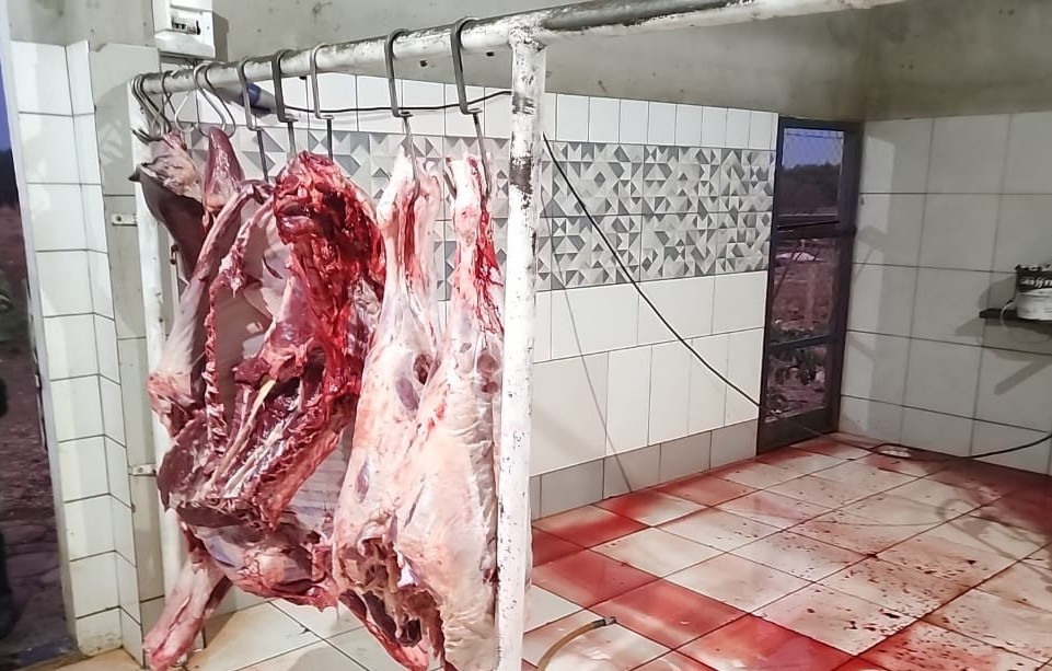 Quase meia tonelada de carne é apreendida em abate clandestino em MG