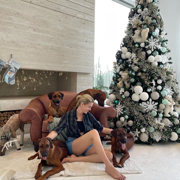 Ana Hickmann posa com os cachorros em frente à sua árvore de Natal (Foto: Reprodução/Instagram)