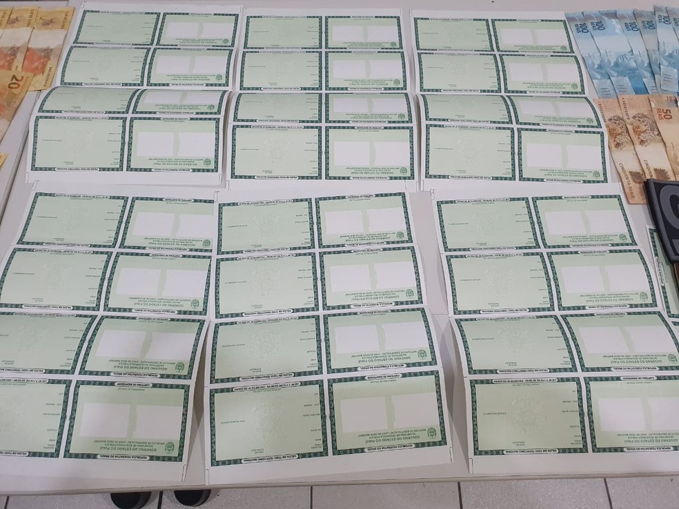 Cédulas de identificação foram apreendidas na casa do suspeito em Teresina — Foto: Divulgação/Polícia Civil do Piauí