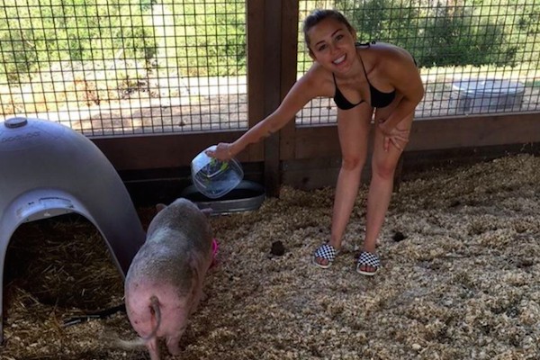 A cantora Miley Cyrus com um de seus porcos de estimação (Foto: Instagram)