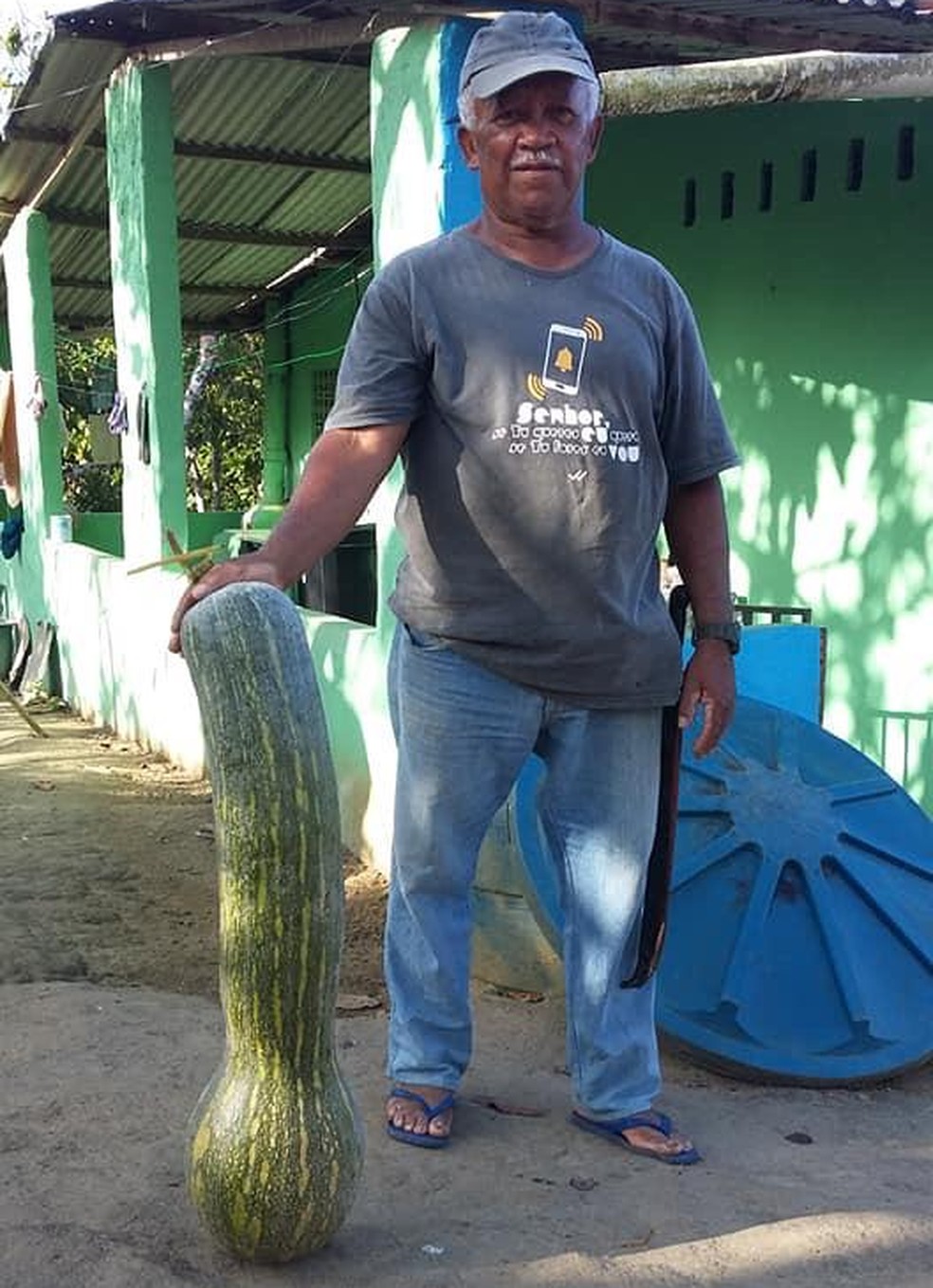 Colocada ao lado de seu Zé, a abóbora maior ultrapassa a altura da cintura do agricultor — Foto: Arquivo Pessoal 