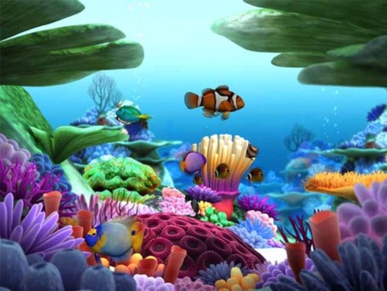 Proteção De Tela Marine Life 3d Download Techtudo