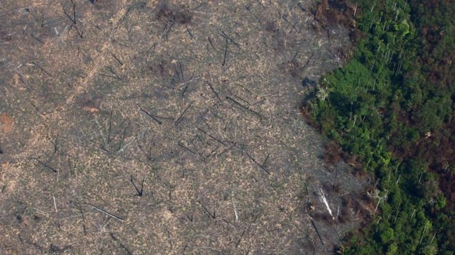 BBC: Em junho e agosto, o desmatamento da Amazônia cresceu 203% em relação ao mesmo período do ano passado, segundo o Inpe. (Foto: REUTERS VIA BBC)