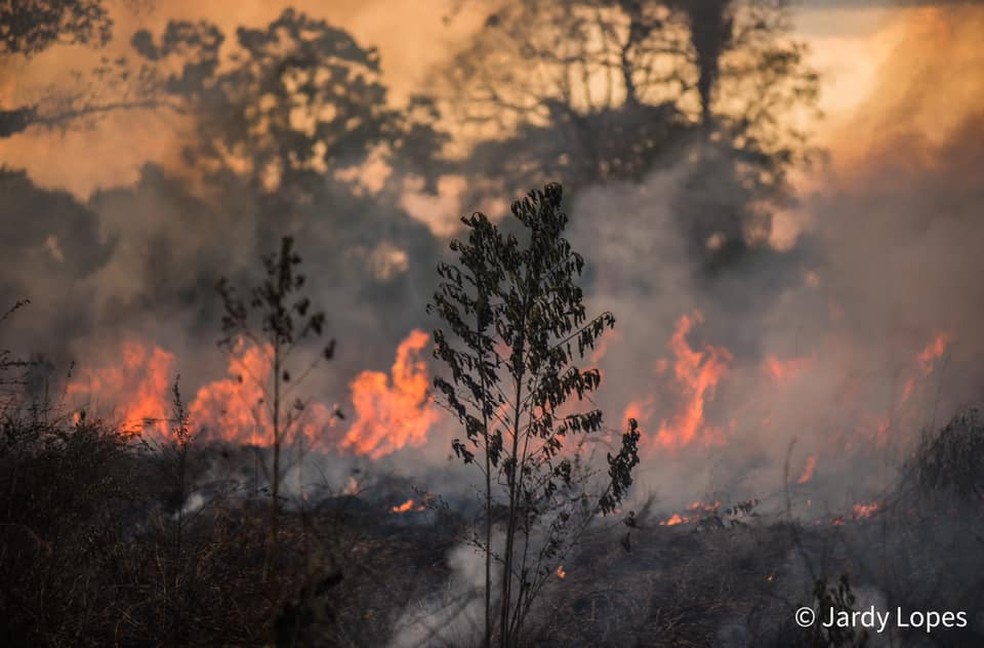 Semeia autuou quatro propriedades, sendo que uma foi multada em mais de R$ 4 mil — Foto: Jardy Lopes/Arquivo pessoal