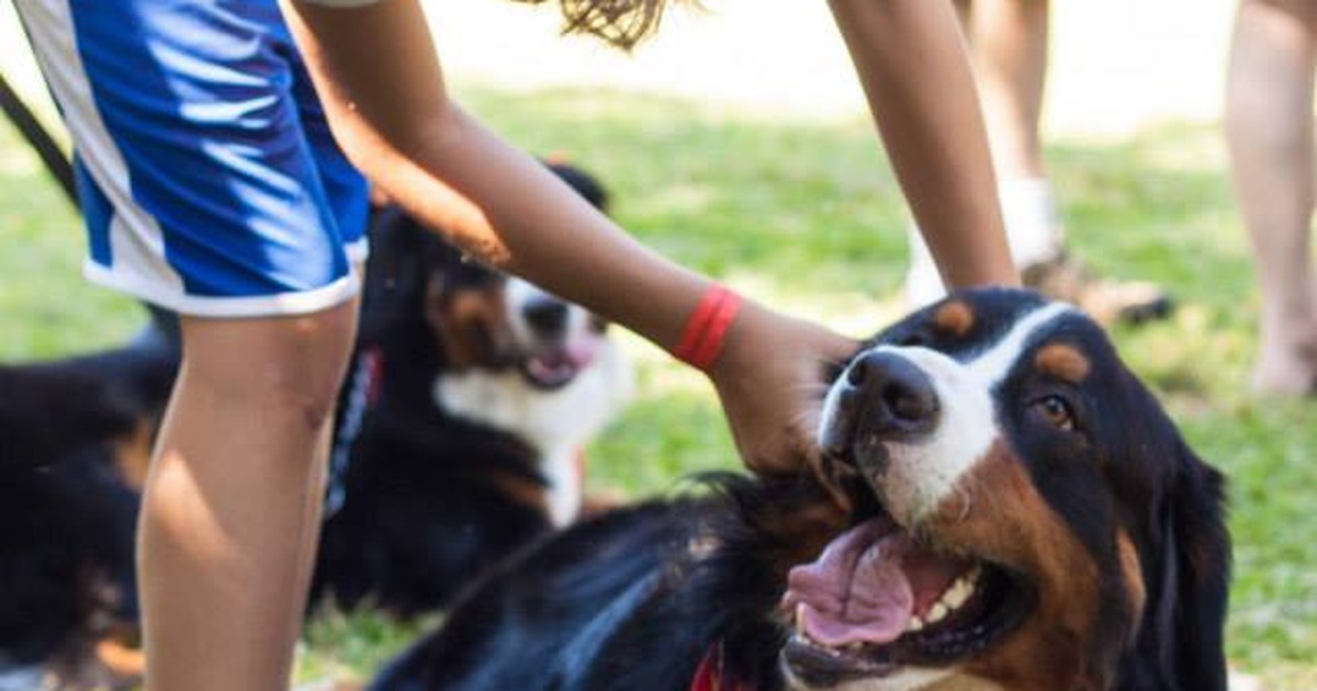 Encontro de Berneses de Piracicaba