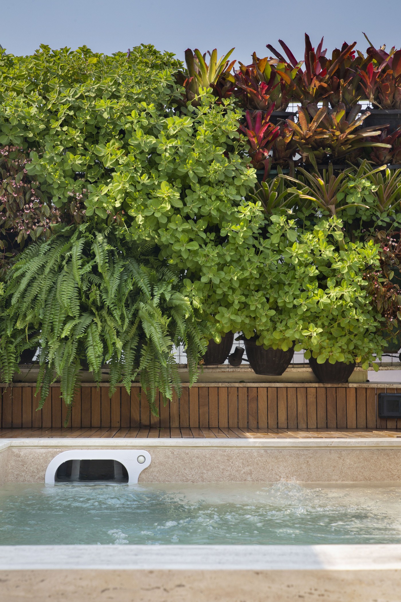 Décor do dia: área externa com piscina tem cerca-viva para garantir a privacidade dos moradores (Foto: Denilson Machado/ MCA Estúdio)