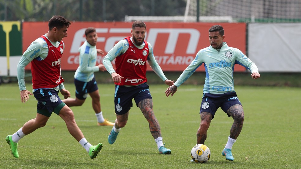 Palmeiras se reapresenta e inicia preparação para o jogo diante do Atlético-MG