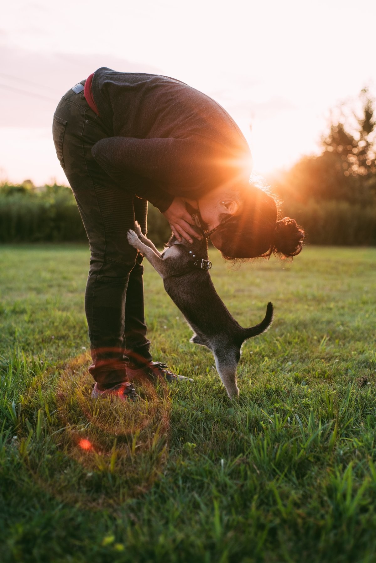 Há cachorros que não têm vínculos afetivos com seres humanos, a exemplo dos ferais (Foto: Unsplash/ Laura Stanley/ CreativeCommons)