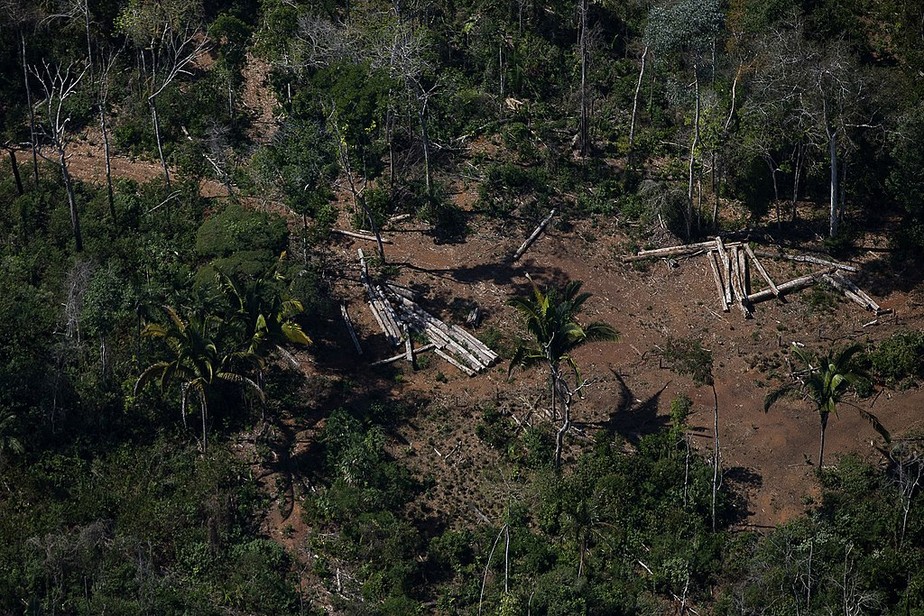 Toras de madeiras são vistas em área desmatada próximas a Porto Velho, em 7 de agosto de 2020.