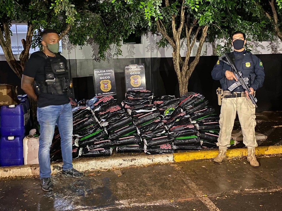 Defensivos agrícolas estavam escondidos em sacos de adubos em MT — Foto: Polícia Civil