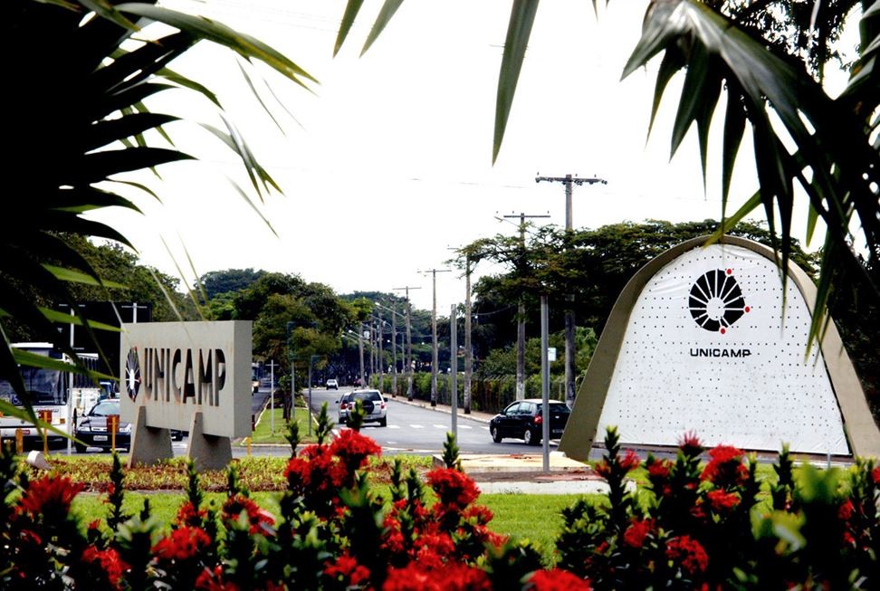 Unicamp 2022: cursinhos listam temas mais cobrados em prova de 1ª fase nas últimas três edições