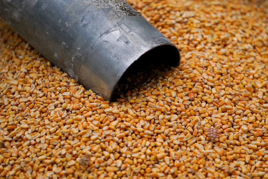Apesar da revisão, o país ainda caminha para encerrar o ano com um recorde de exportação do cereal em 43,74 milhões de t