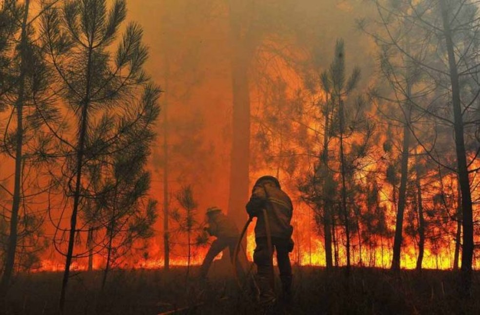 Pantanal foi atingido por fortes incêndios em 2020  — Foto: GOVMS/Reprodução