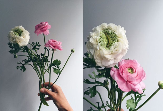 Ranúnculos: como cultivar essa flor que parece uma rosa, mas não é (Foto: Flo Atelier Botânico)
