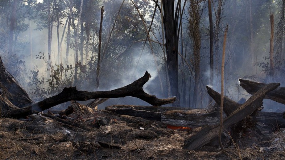 Vestígios de desmatamento e queimada no município de Altamira, no Pará, próximo à rodovia BR-163