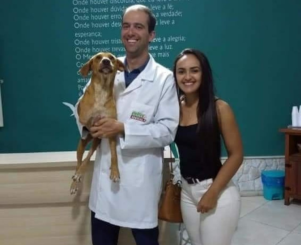 Amigão ficou 29 dias em tratamento em uma clínica veterinária  (Foto: Clinica Mania Animal)