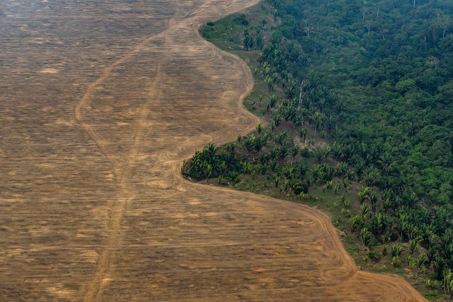 Desmatamento nas imediações de Porto Velho, na Amazônia