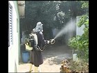 Noroeste paulista tem queda no número de infectados com a dengue