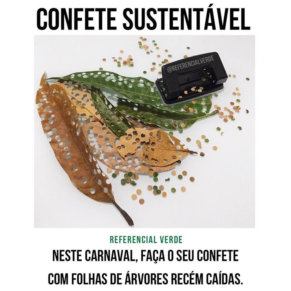 Confete sustentÃ¡vel â Foto: Referencial Verde/Instagram