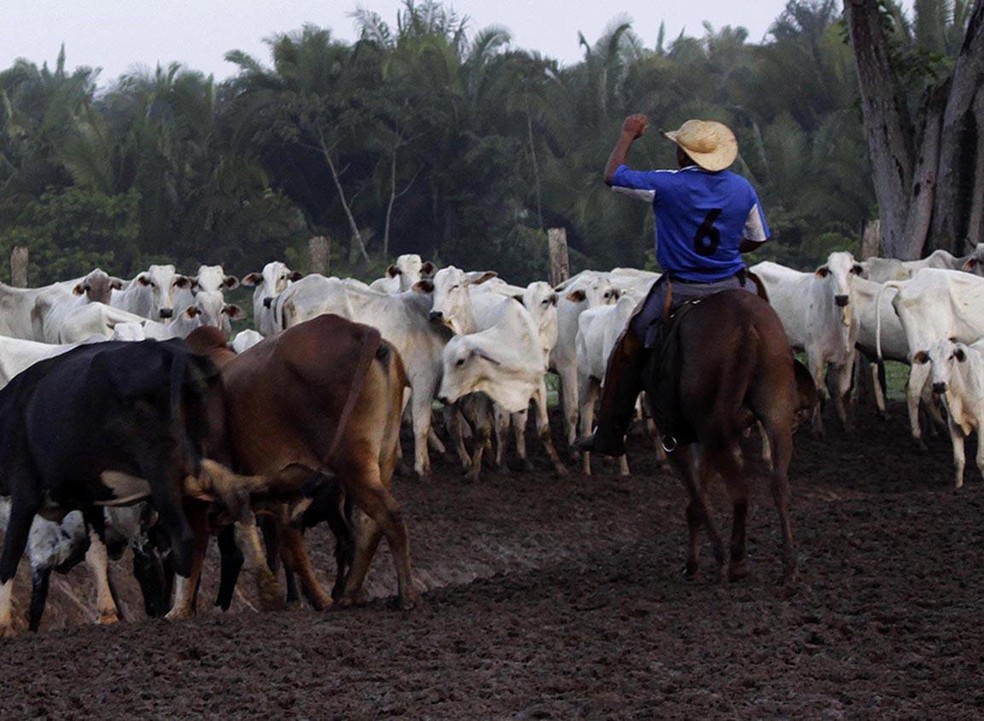 Worker on a cattle farm in Marabá, Pará: last year, almost 14 million people worked in agriculture in Brazil — Foto: Evandro Monteiro/Valor