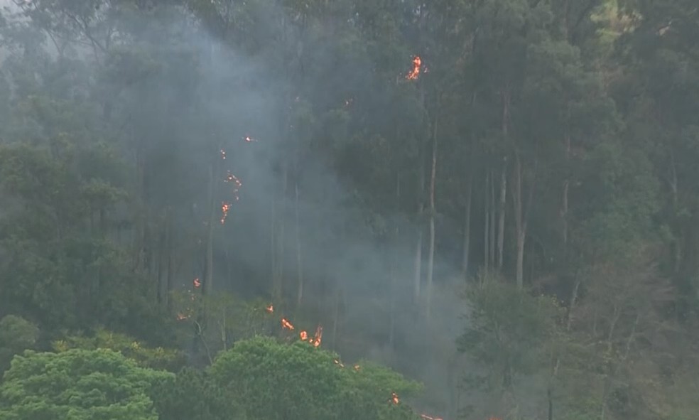 Característica geográfica dos locais dificultam combate a incêndio em São Pedro — Foto: Reprodução/ EPTV