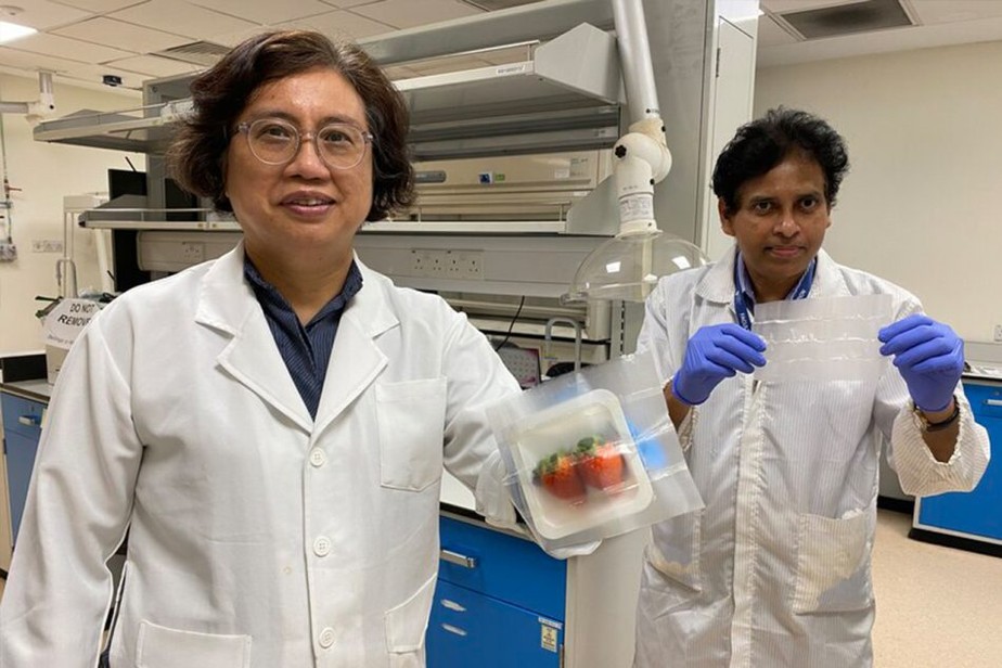 Cientistas criam embalagens de alimentos biodegradáveis ​​e capazes de matar bactérias nocivas