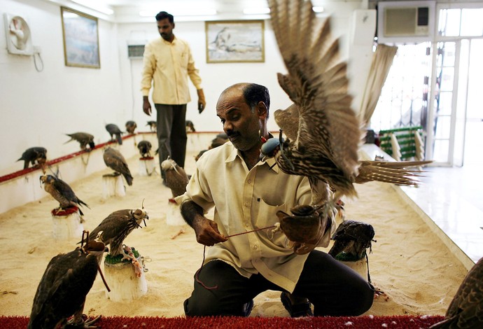 Catar Coquinho É Uma Brincadeira Tradicional Muito Popular No Brasil