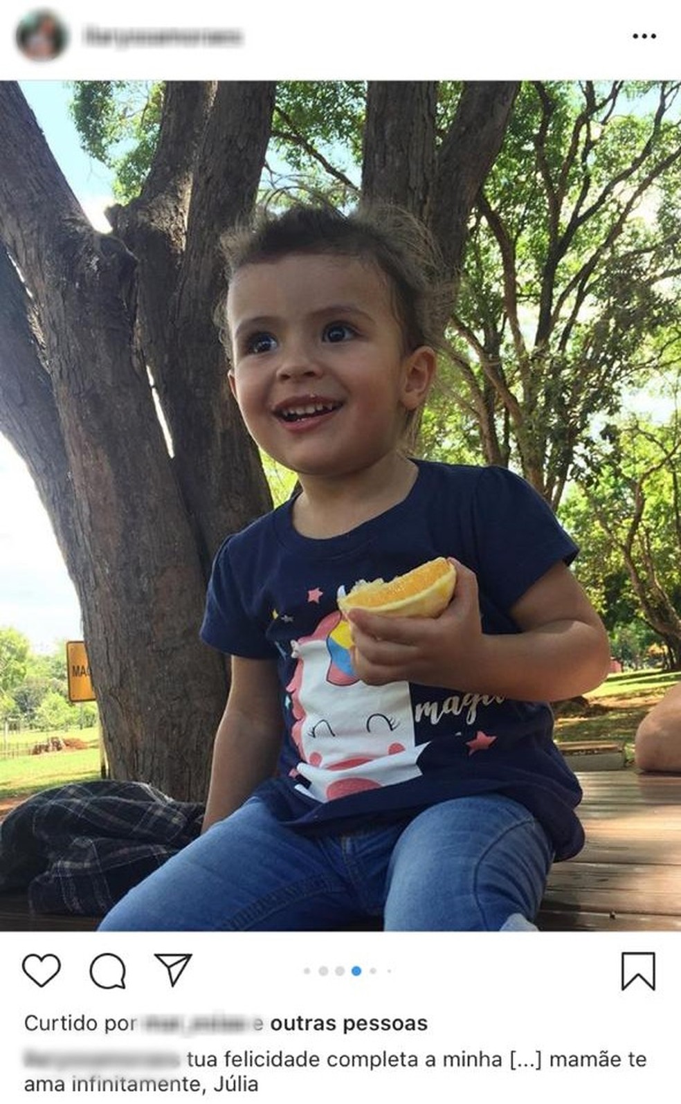 Julia Felix de Moraes, de 2 anos, foi morta no DF — Foto: Instagram/Reprodução