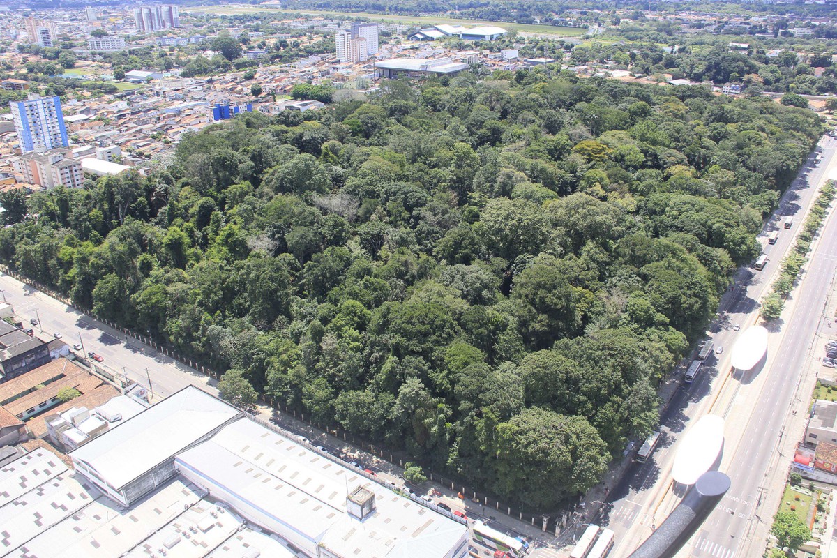 visitas-ao-bosque-rodrigues-alves-em-bel-m-s-o-suspensas-por-causa-da