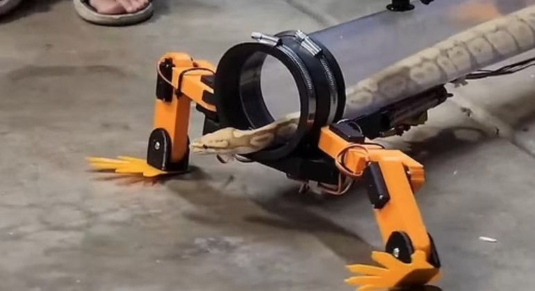 Dispositivo criado por um engenheiro americano promete dar "pernas às cobras" (Foto: Reprodução/YouTube)