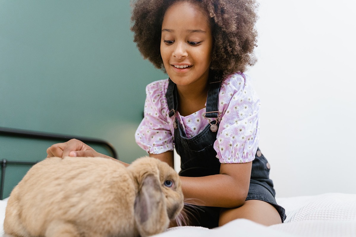 Adults should always supervise the relationship between child and pet to avoid accidents and ensure the well-being of both (Photo: Pexels/MART PRODUCTION/CreativeCommons)