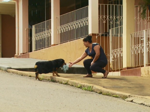 Dona não precisa mais ir ao açougue ou mercado, cachorra faz isso por ela (Foto: Reprodução EPTV/Michel Diogo)