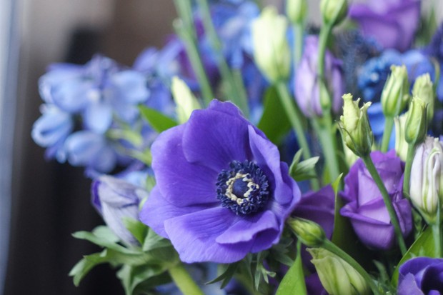 5 flores para decorar sua casa com a cor de 2022 eleita pela Pantone  (Foto: Unsplash)