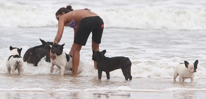 Silvana Lima brinca com seus cachorros (Foto: Reprodução)