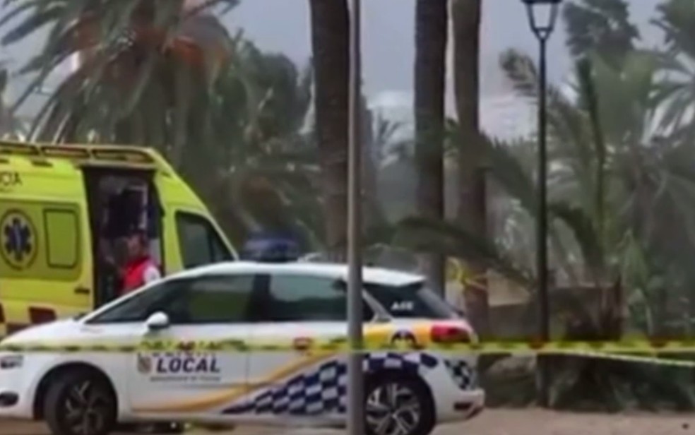 Marlúcia Pereira, natural de Goiás, morreu após ser atingida por palmeira durante forte temporal na Espanha — Foto: Reprodução/TV Anhanguera
