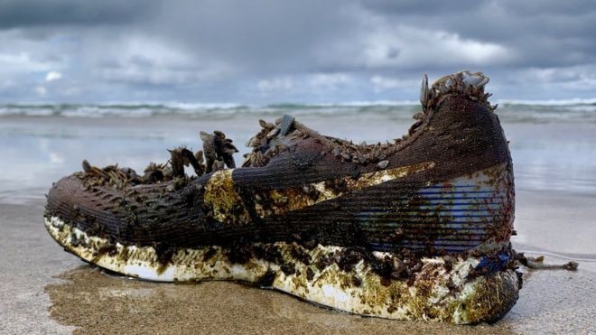 O mistério dos tênis Nike surgindo em praias da Europa e do Caribe (Foto: TRACEY WILLIAMS)