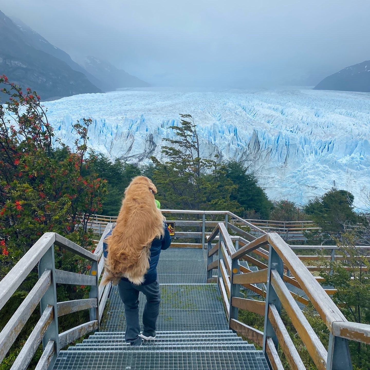 Na geleira Perito Moreno, um glaciar da Patagônia Argentina (Foto: Thalia Pinheiro/Arquivo pessoal)