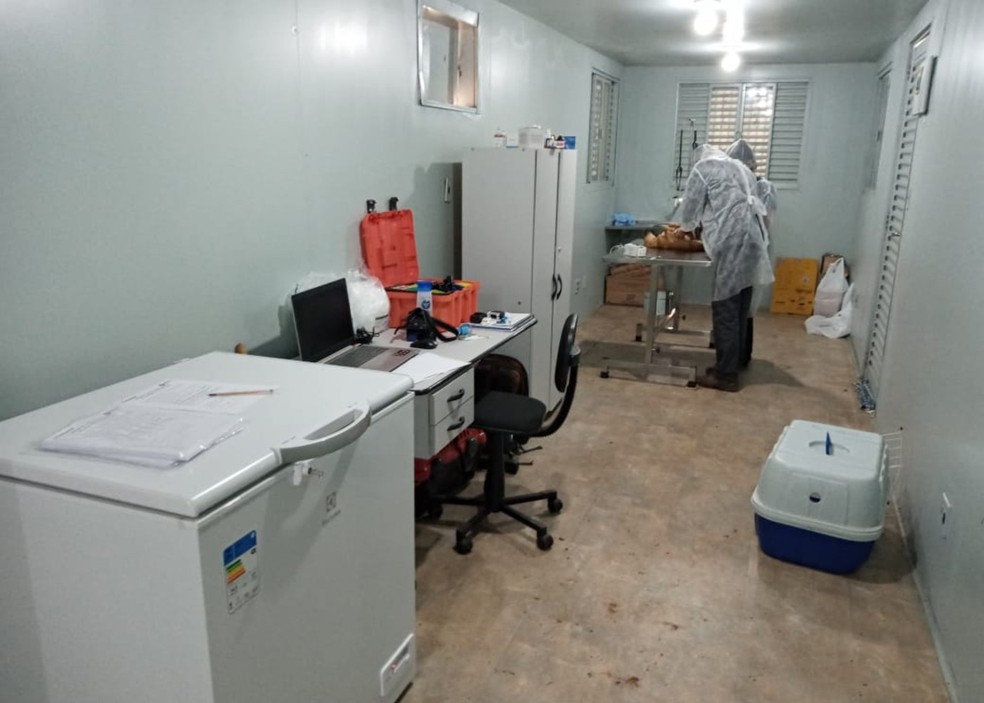 Veterinários farão as cirurgias de castração em posto da concessionária localizado na SP-333, em Echaporã — Foto: Entrevias/Divulgação